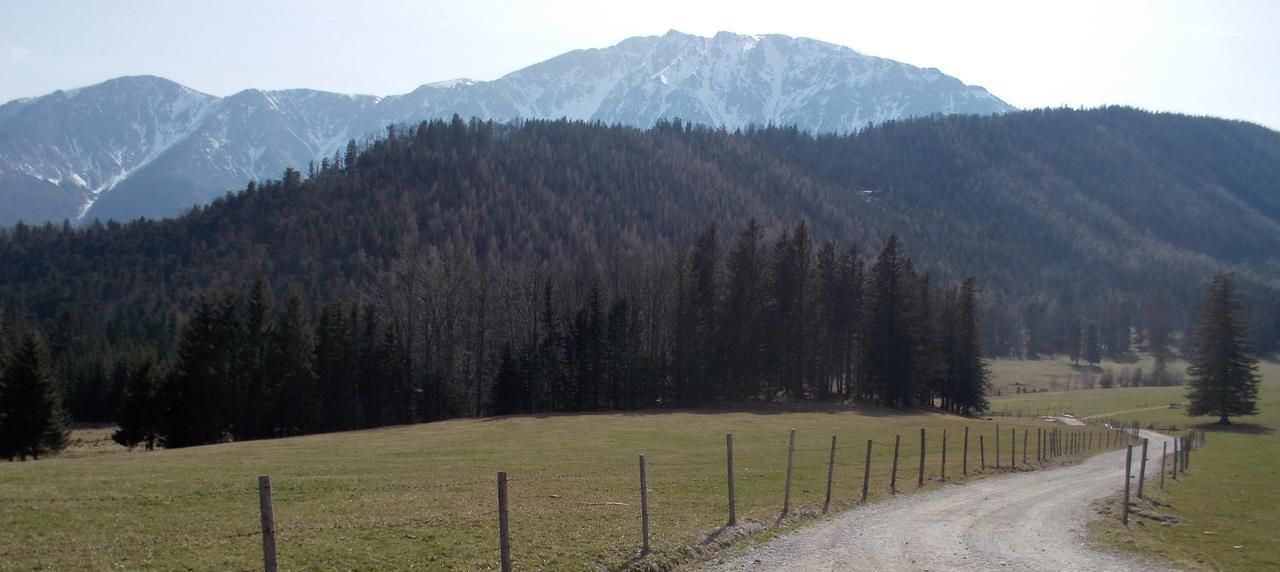 Ferienwohnungen Mamauwiese Gutenstein Dış mekan fotoğraf