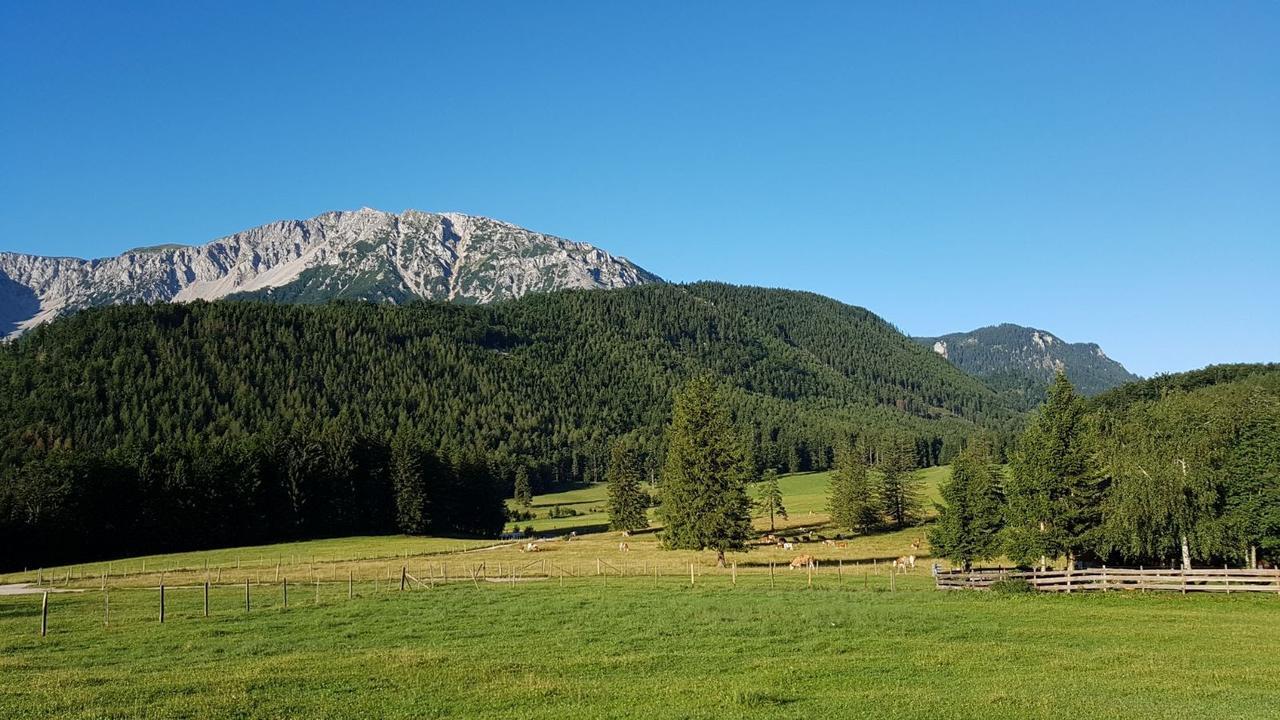 Ferienwohnungen Mamauwiese Gutenstein Dış mekan fotoğraf