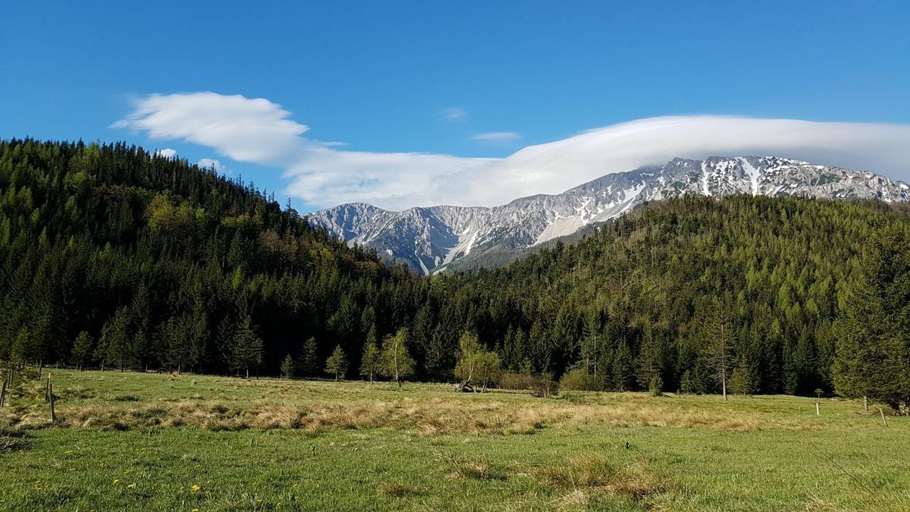 Ferienwohnungen Mamauwiese Gutenstein Dış mekan fotoğraf