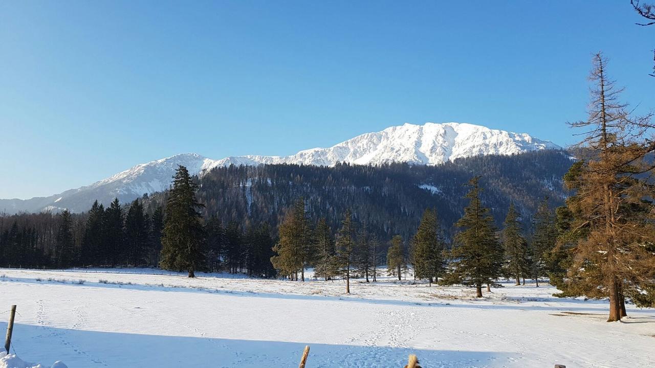 Ferienwohnungen Mamauwiese Gutenstein Dış mekan fotoğraf