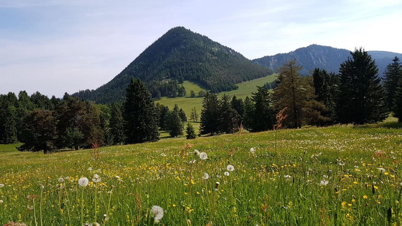 Ferienwohnungen Mamauwiese Gutenstein Dış mekan fotoğraf