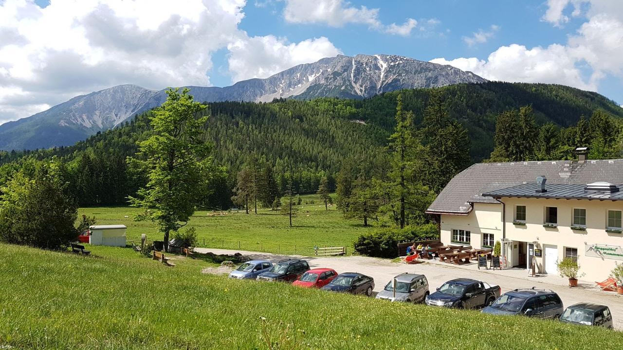 Ferienwohnungen Mamauwiese Gutenstein Dış mekan fotoğraf