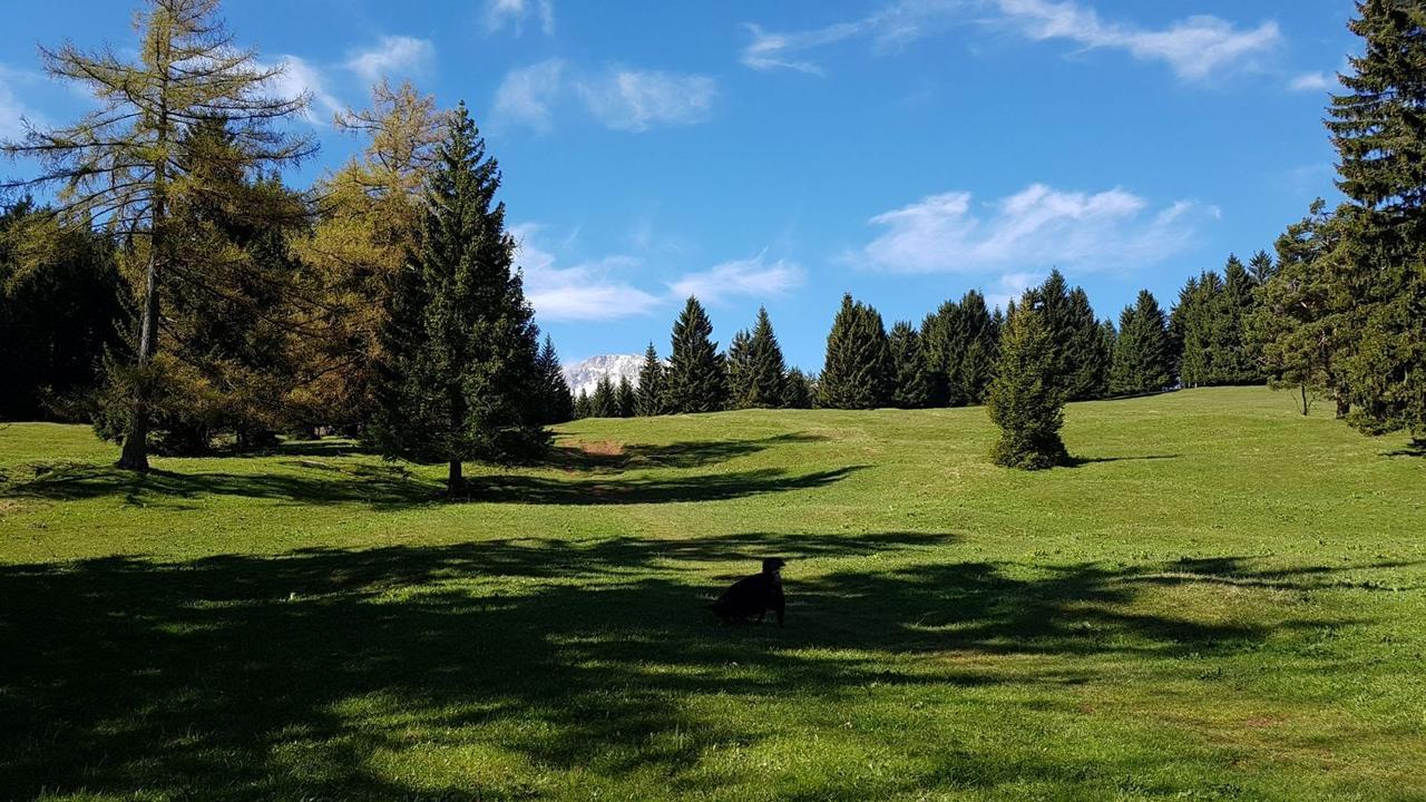 Ferienwohnungen Mamauwiese Gutenstein Dış mekan fotoğraf