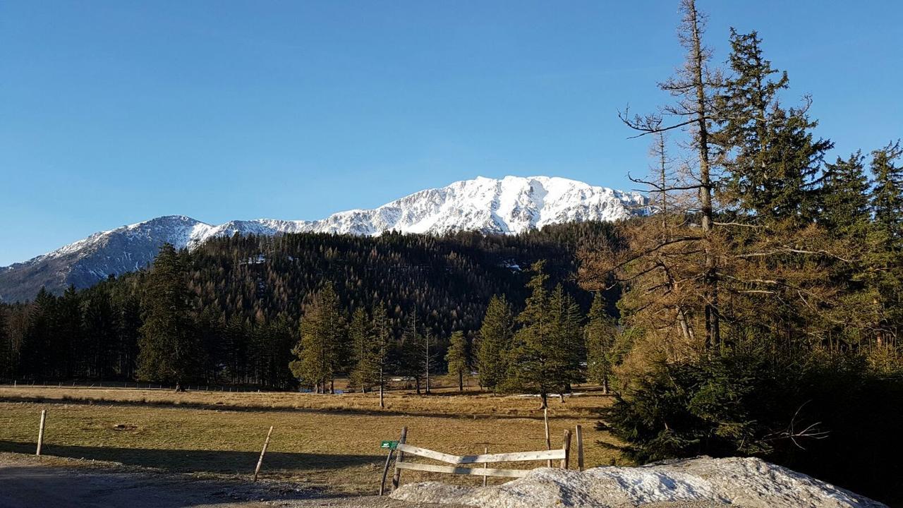 Ferienwohnungen Mamauwiese Gutenstein Dış mekan fotoğraf