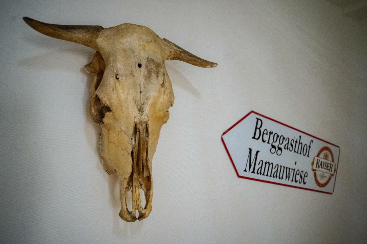 Ferienwohnungen Mamauwiese Gutenstein Dış mekan fotoğraf